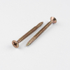 Tornillo